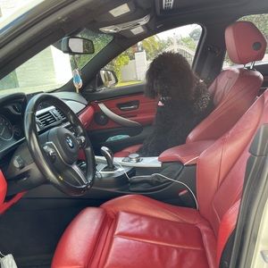 Meet your Posher, Anderson